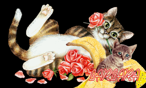 Les 13 cl�s du coffre de l�amiti� 